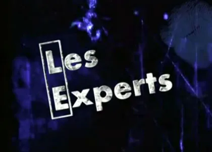 LES EXPERTS