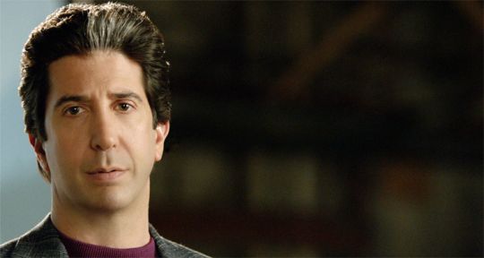 David Schwimmer (Friends) : « Ross a quasiment ruiné ma vie »