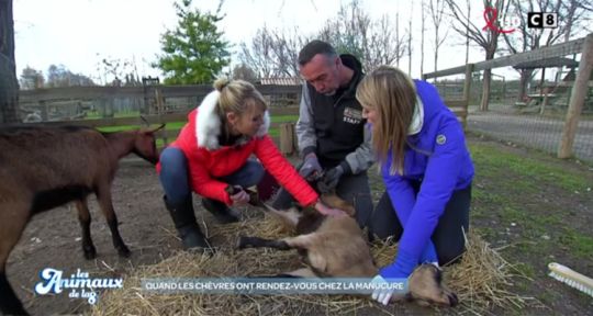 Les Animaux de la 8 : nouveau succès d’audience pour Élodie Ageron et Sandrine Arcizet, devant France 2 et M6 le matin