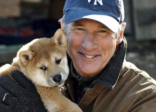 Hatchi : une histoire vraie entre Richard Gere et un chien fidèle