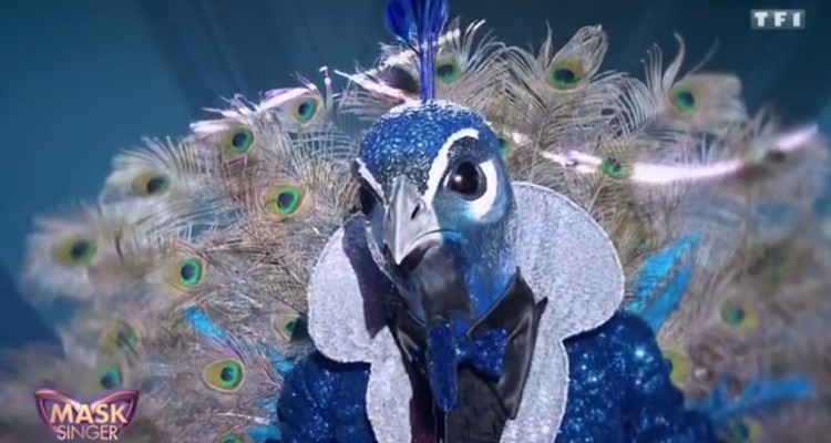 Mask Singer (TF1) : pourquoi Franck Leboeuf est favori pour se cacher derrière le paon